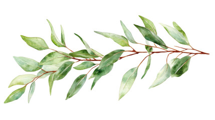 Obraz premium Watercolor bouquet of leaves on transparent background