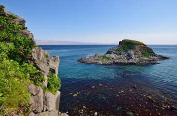Fototapeta premium 利尻島 夏の風景