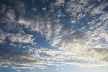 Summer blue sky cloud gradient light white background. Beauty clear cloudy in sunshine calm bright winter air bacground. Gloomy vivid cyan landscape in environment day horizon skyline view spring wind