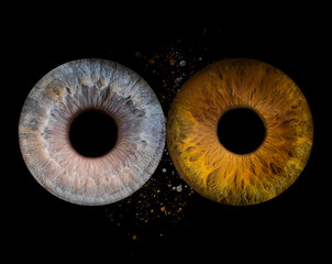 iris beauté yeux photo des yeux photos d'iris	
