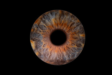 iris beauté yeux photo des yeux photos d'iris	
