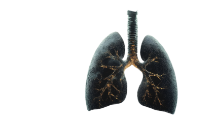 Pollution and lung disease concept, heavy polluted air impact on lungs causing cancer and multiple illnesses, respiratory system collapse 3d rendering