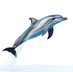  dolphin jumping in the air against a white background