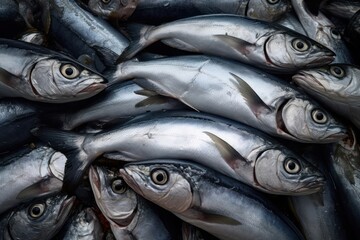 Obraz premium Fish market sardine herring animal.