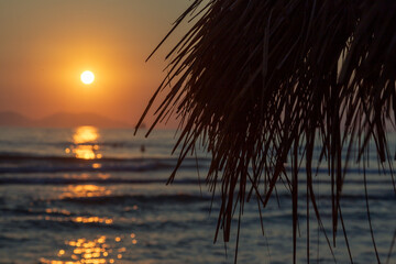Sunset over the Albanian coastline with silhouette of palm leaves creating a serene atmosphere during evening hours