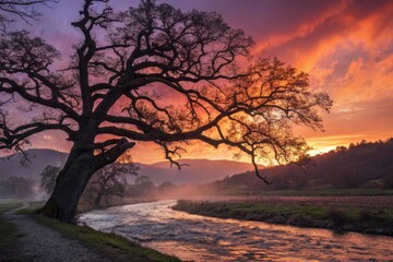 Fototapeta premium Double Exposure Nature Photography: Meeting Essential Needs - Surreal Landscape