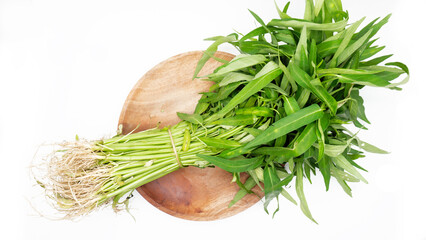 Ipomoea aquatica is one of the most popular leafy vegetables in Southeast Asia