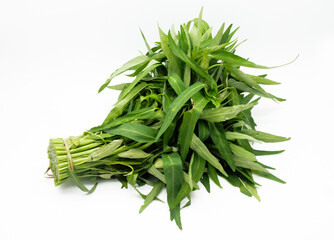 Ipomoea aquatica is one of the most popular leafy vegetables in Southeast Asia