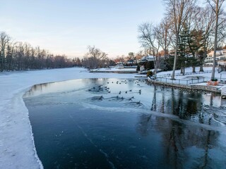 Serene winter scene with ducks and geese swimming in a partially frozen lake. New York