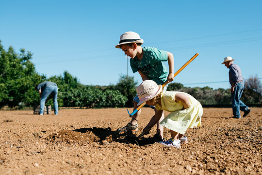 A family preparing prepairing the soil on a sunny day