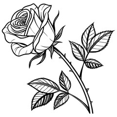 rose with leaves silhouette vector illustration white background.
