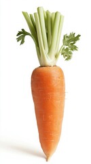 Vibrant Carrot: A Fresh and Nutritious Root Vegetable, Perfect for a Healthy Diet