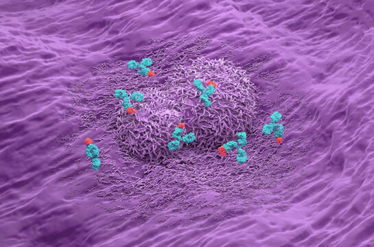 Monoclonal antibody treatment in Liver cancer - isometric view 3d illustration
