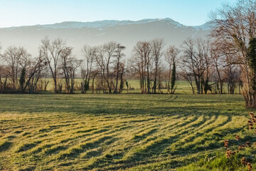 campagne du pays de Gex