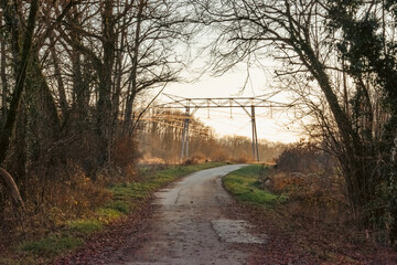 petite route de campagne au pays de Gex