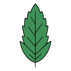 laurel leaf flora plant nature flat color vector illustration template design