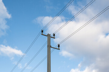 Fototapeta premium ligne électrique, ciel bleu nuageux