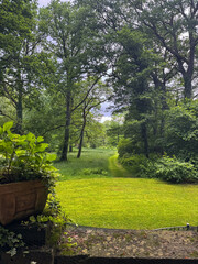 A view of a beautiful green meadow in the English countryside.