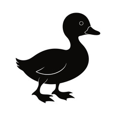 duck isolated vector illustrations