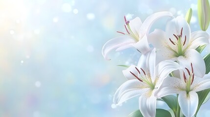 Obraz premium bouquet of white flowers