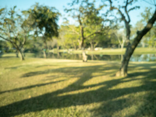 Blurred view of a park, pond, trees and cloudless sky in the morning