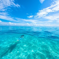 Serene Swimmer in Crystal Clear Tropical Ocean Waters