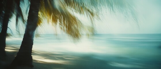 Gentle breeze sways palm trees over a serene beach, casting ethereal shadows on sunlit sands and tranquil waves under a soft, blue sky.