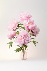 Obraz premium Blossom flower plant peony.