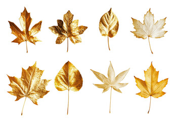 PNG Golden leaves create an autumn wonderland display