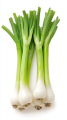 Fresh Spring Onions - A Vibrant Addition to Your Kitchen