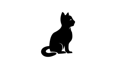 black cat on white background
