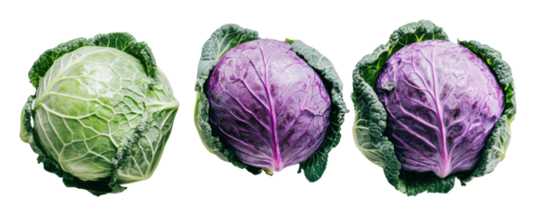 PNG Colorful showcase of fresh cabbages on display