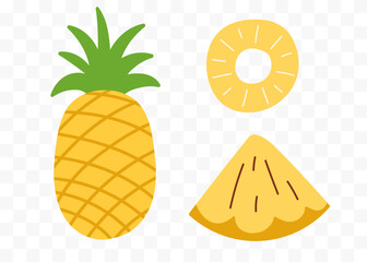 Pineapple tropical fruit abstract flat vector set
