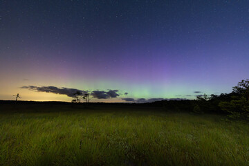 Seli Bog under the cover of the Northern Lights: a colorful night sky with a myriad of stars over the mysterious landscape of the Estonian bog.