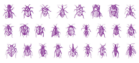 set of violet bugs 