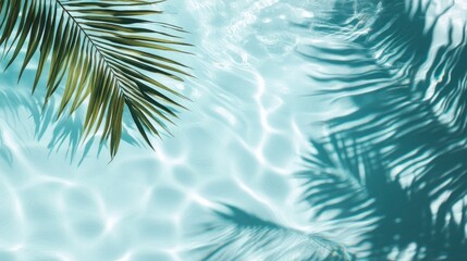 Tropical Summer Paradise: Palm Leaf and Shimmering Pool