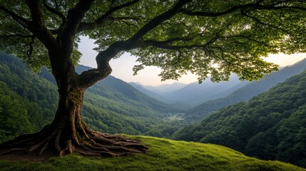 Fototapeta premium Majestic Tree Overlooking Lush Green Valley at Sunrise
