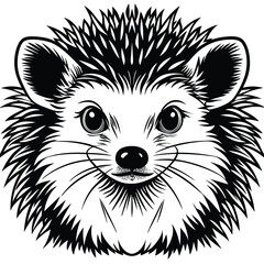 Cute black and white hedgehog illustration with spiky fur and big eyes