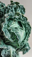 Fototapeta premium Close-up of a vibrant green cabbage head, showcasing its intricate leaf structure. A healthy and fresh vegetable, perfect for a nutritious diet.