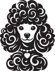 Poodle dog full and half face images vector black and white 