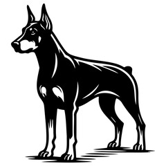 German Doberman Pinscher Dog Illustration.
