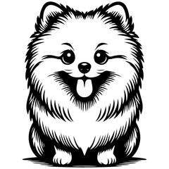 Pomeranian Dog Illustration.