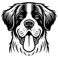 Saint Bernard Dog Illustration.