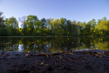 Lake in the park Elagin Island
