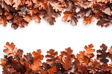 autumn leaves border