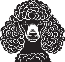 Poodle dog full and half face images vector black and white 