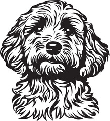 black and white cavapoo dog portrait