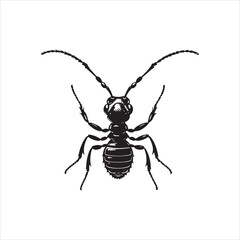 Termites vs. Ants: Key Differences Explained