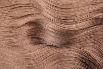 Naklejka premium Beautiful hair in mocha mousse shade, closeup. Trendy color of 2025 year