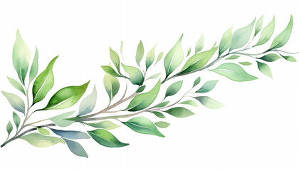 Fototapeta premium green leaves background
